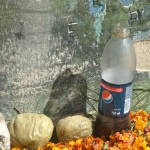 Food and drink left for the spirits at a tomb in Chichicastenango
