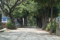 DSCF2607