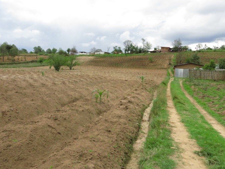 This path leads up the ridge to José Mario's home.