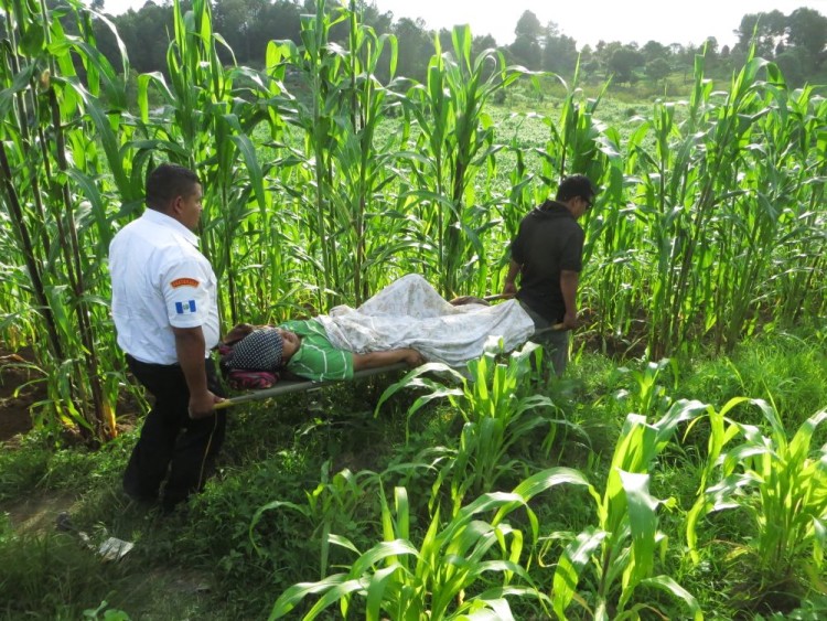 Carrying Pedro through the cornfields to an ambulance