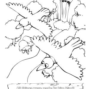 001 Creation Bible Lesson