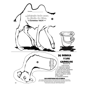 014M Rebeca No. 1